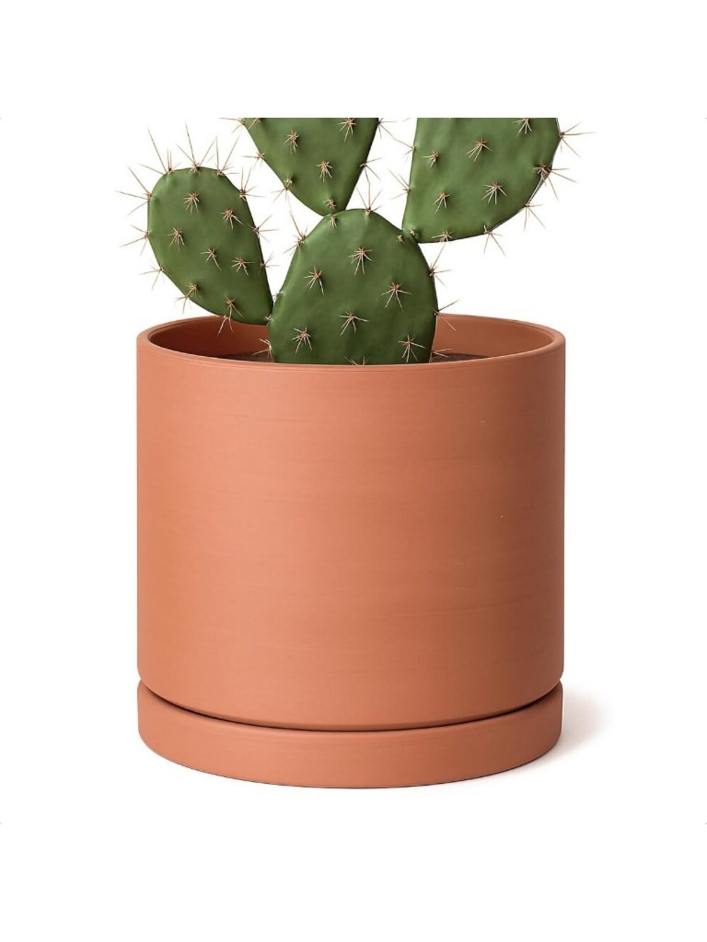Terracotta Plant Pot with Saucer, 8 Inch, Indoor/Outdoor Planter, Home Decor